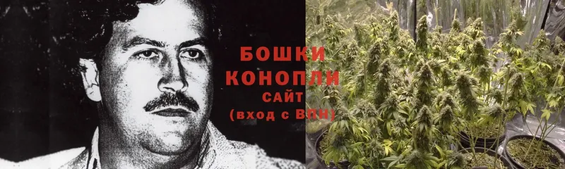 Бошки Шишки Ganja  darknet официальный сайт  Белая Холуница 